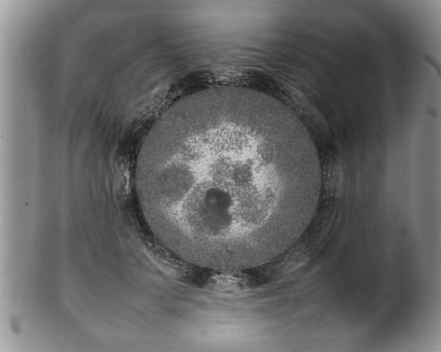 X0000102260703200808011405