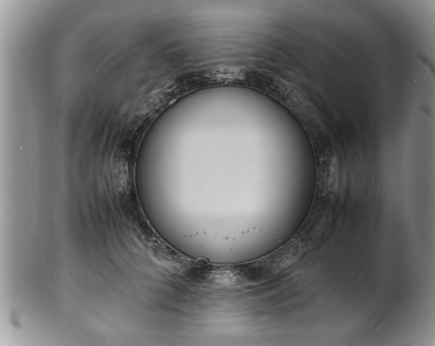 X0000102260704200808011405