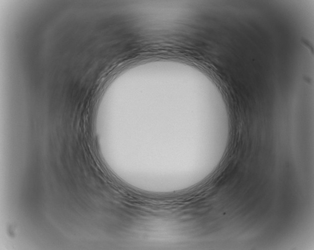 X0000102260705200808011405