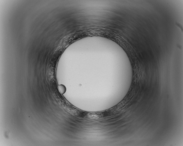 X0000102260706200808011405