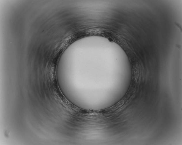 X0000102260708200808011405