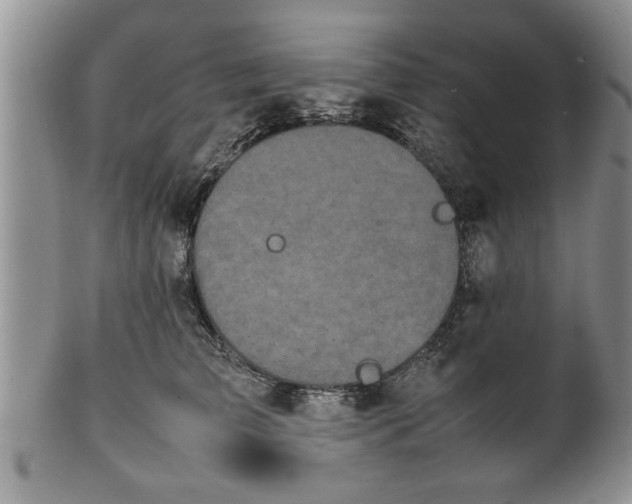 X0000102260709200808011405