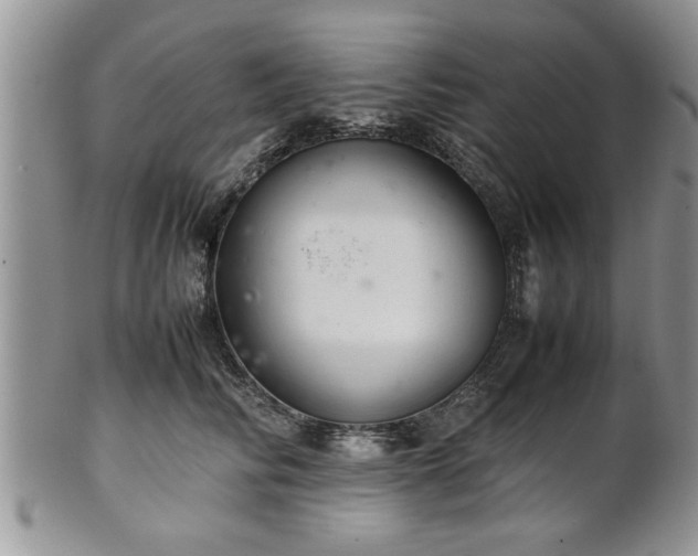 X0000102260710200808011404