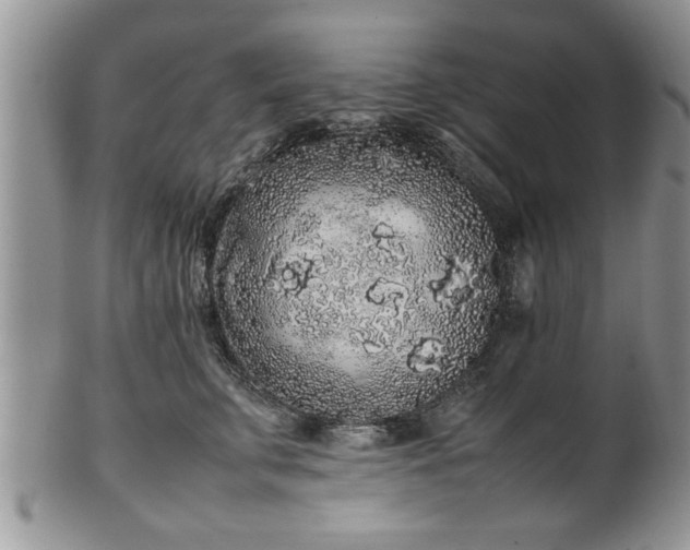 X0000102260711200808011404