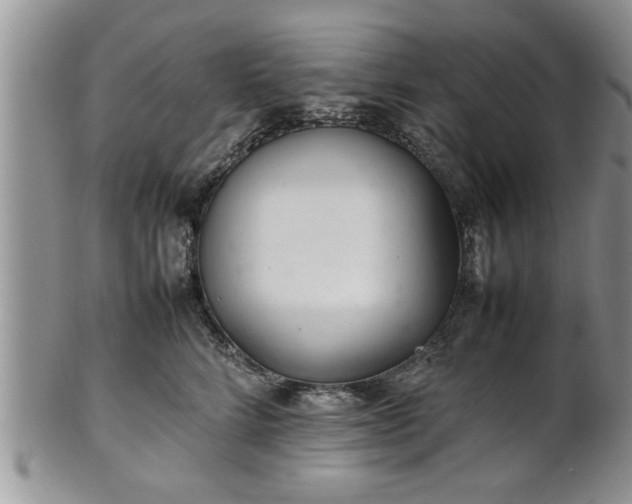 X0000102260712200808011404