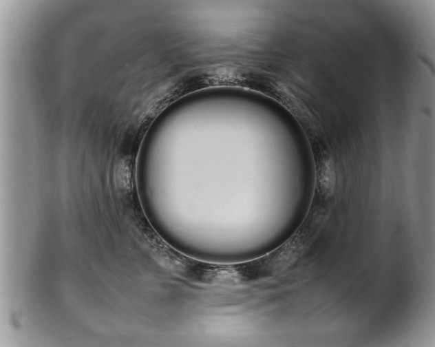 X0000102260715200808011404