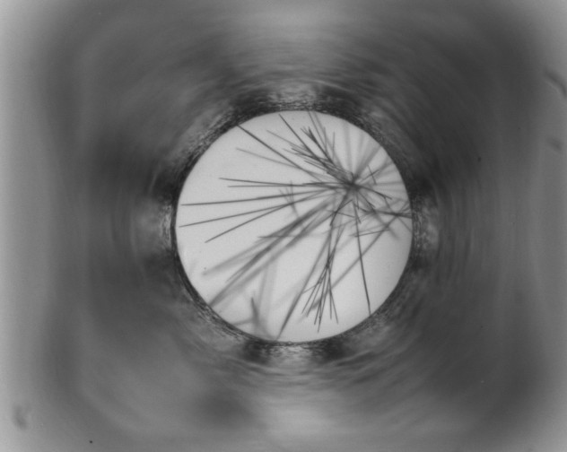 X0000102260717200808011404