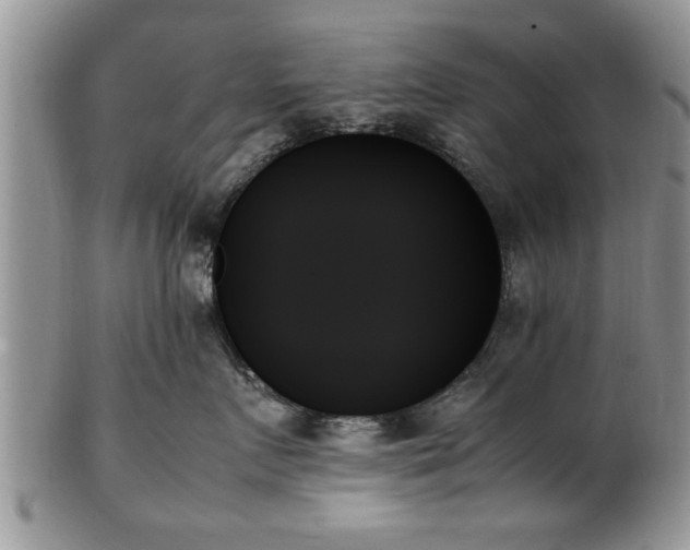 X0000102260719200808011404