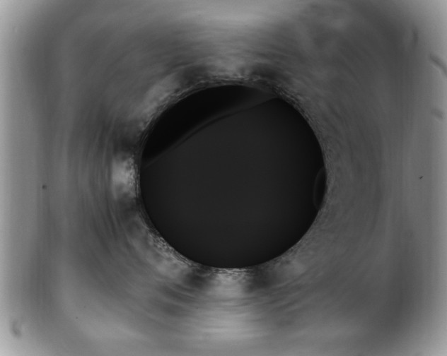 X0000102260720200808011404