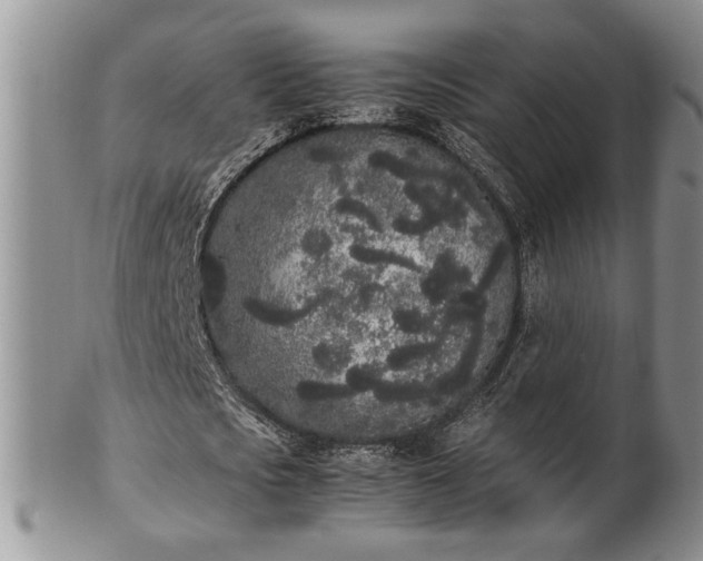 X0000102260721200808011404