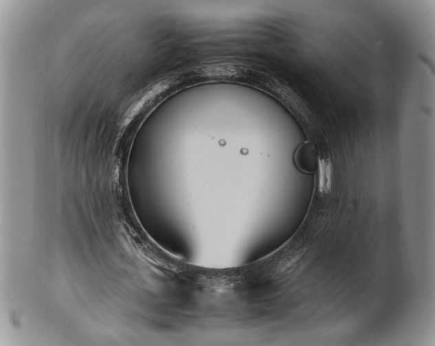 X0000102260723200808011404