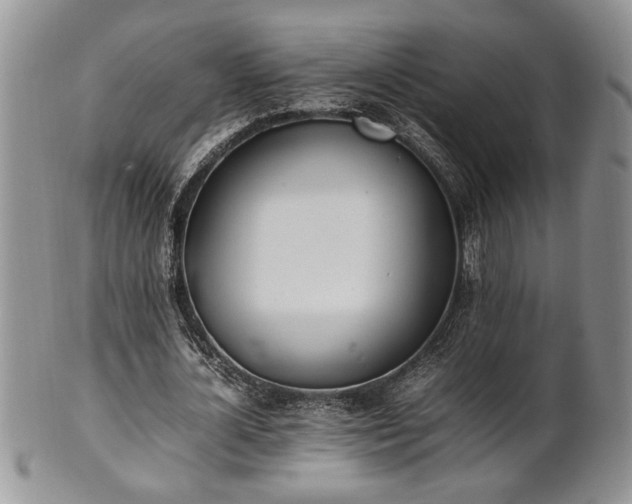 X0000102260724200808011404