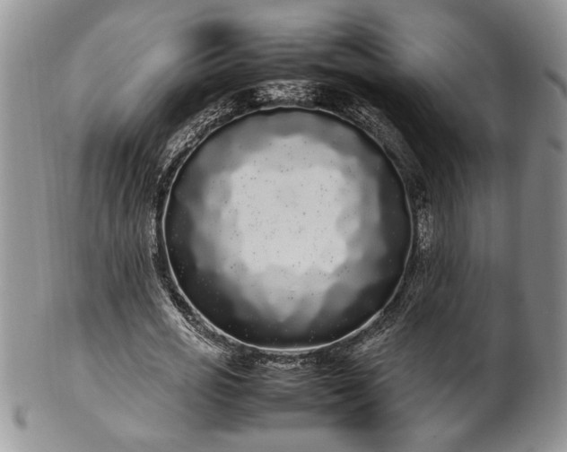 X0000102260725200808011404