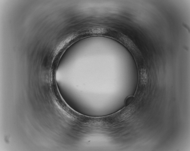 X0000102260726200808011404