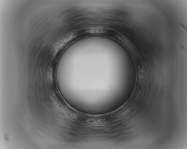 X0000102260727200808011404