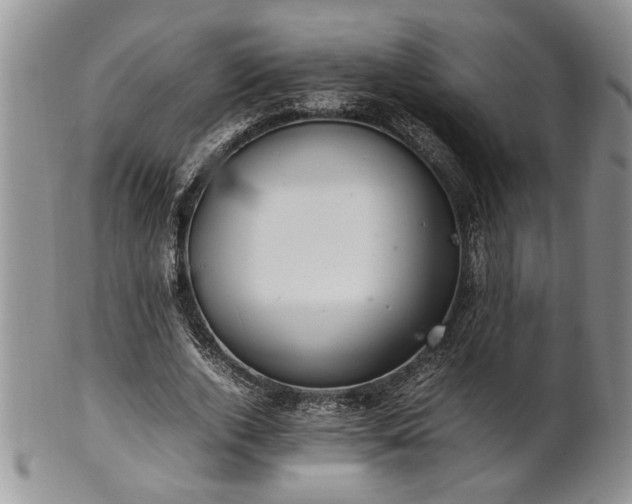 X0000102260728200808011404