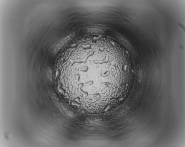 X0000102260729200808011404