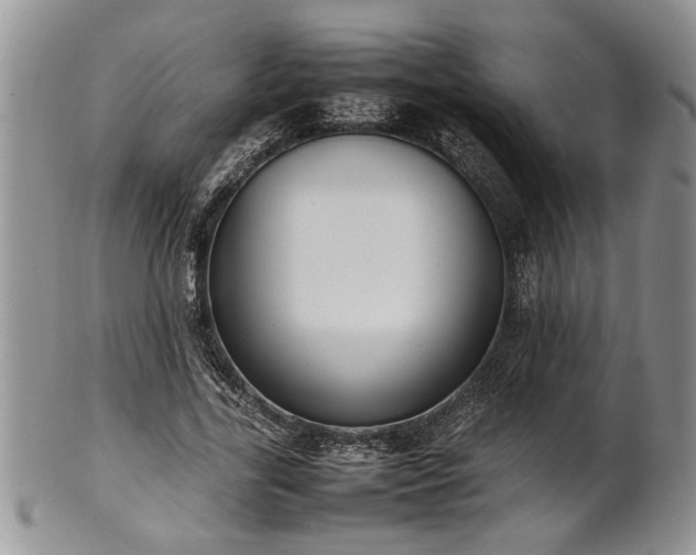 X0000102260731200808011404