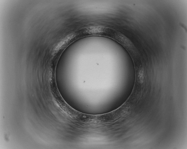 X0000102260732200808011404