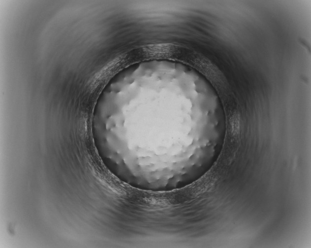 X0000102260733200808011404