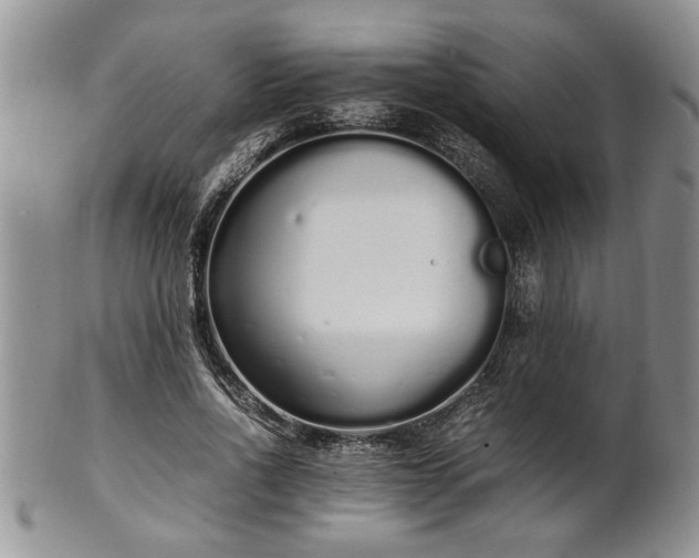 X0000102260734200808011404