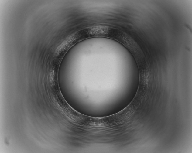 X0000102260735200808011404