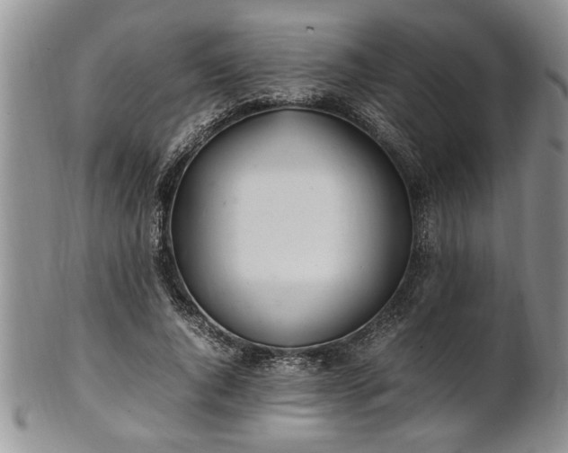 X0000102260736200808011404