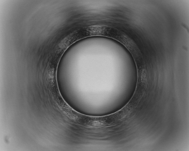 X0000102260737200808011404