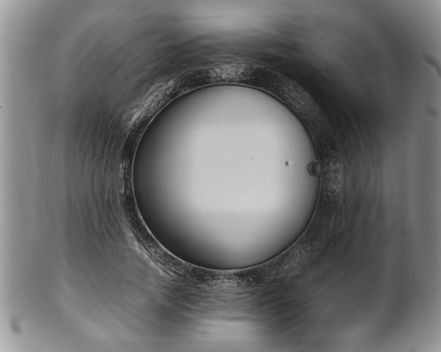 X0000102260738200808011404