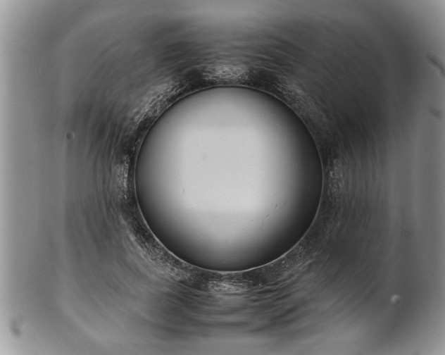 X0000102260739200808011404