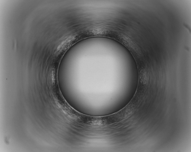 X0000102260740200808011404