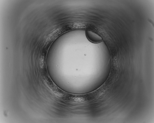 X0000102260741200808011404