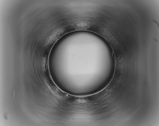 X0000102260742200808011404