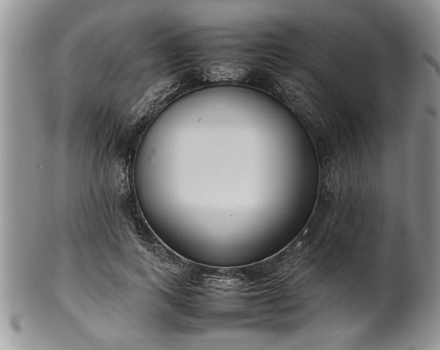 X0000102260743200808011404