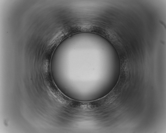 X0000102260744200808011404