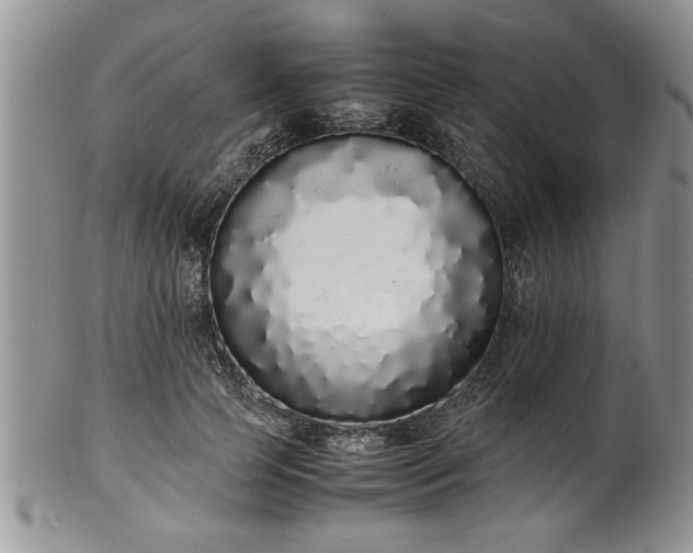 X0000102260745200808011404