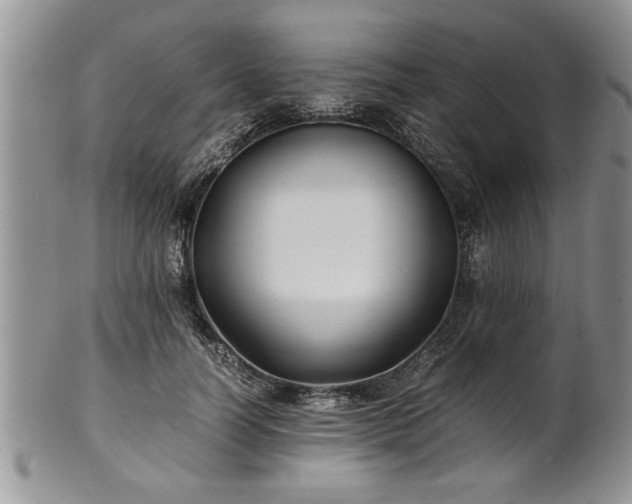 X0000102260746200808011404