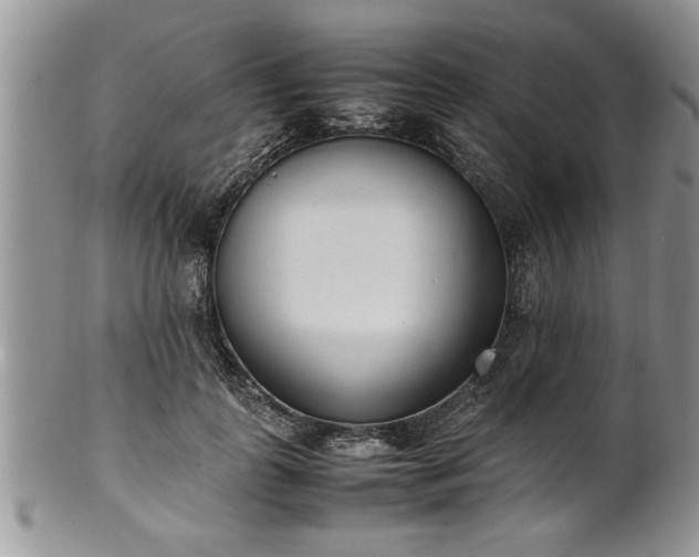 X0000102260747200808011404