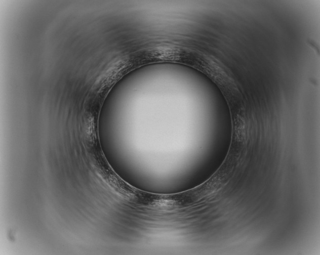 X0000102260748200808011404