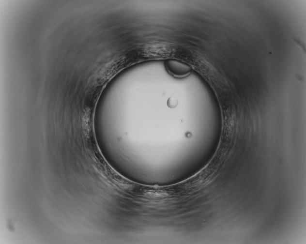 X0000102260749200808011404