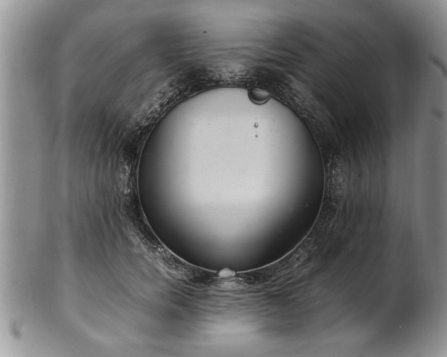 X0000102260750200808011404