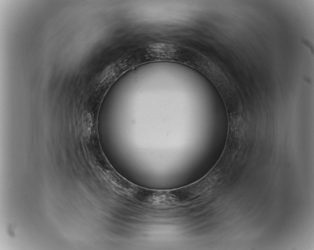 X0000102260752200808011404