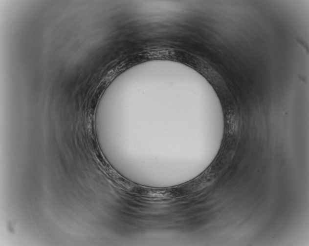 X0000102260753200808011404