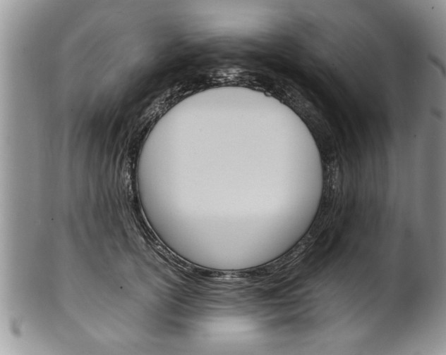 X0000102260754200808011404