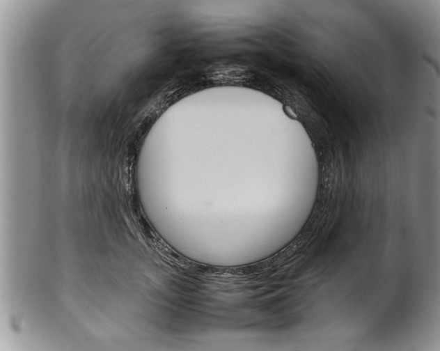 X0000102260755200808011404