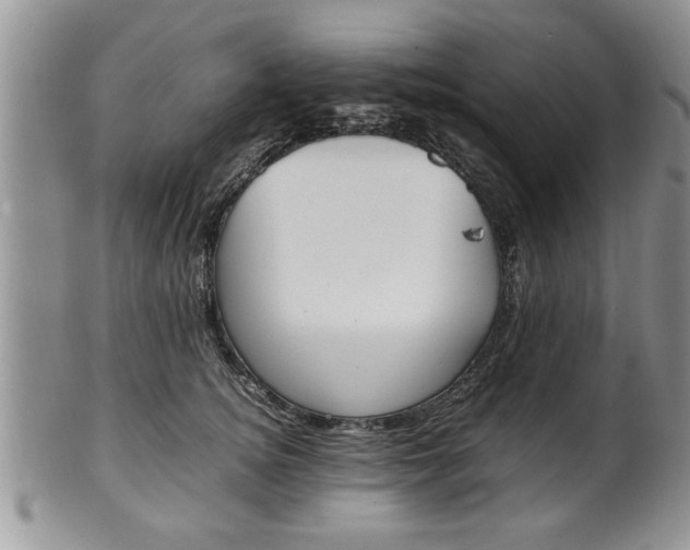 X0000102260756200808011404