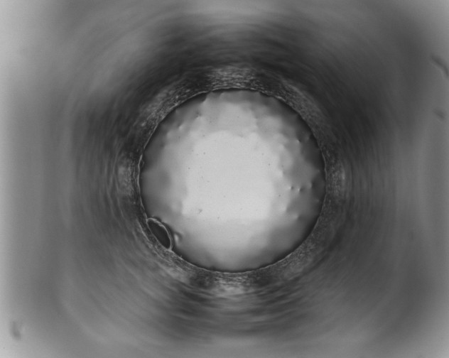 X0000102260757200808011404