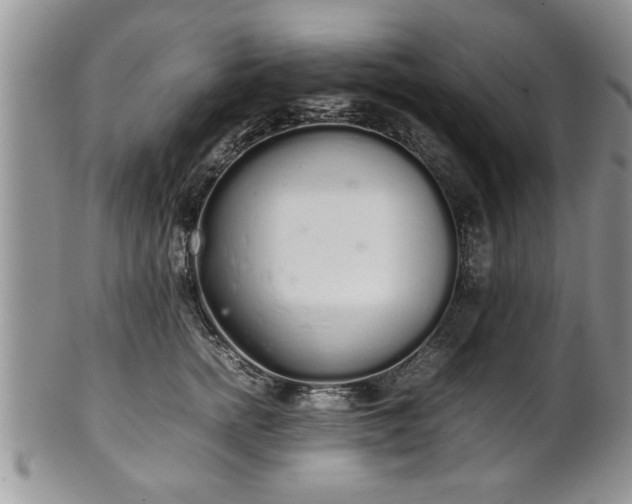 X0000102260758200808011404