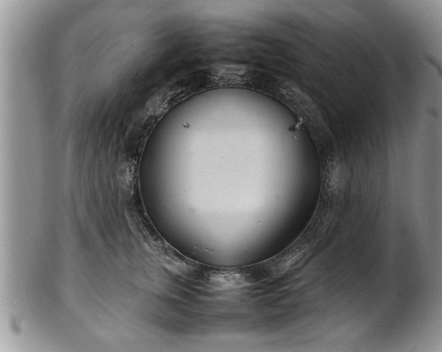 X0000102260759200808011404