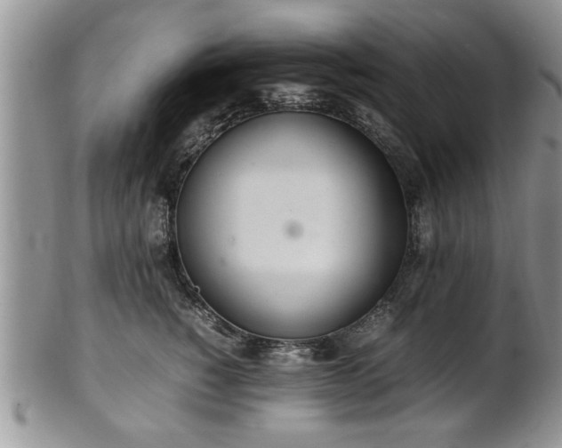 X0000102260760200808011404